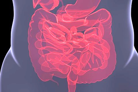 Zum Artikel "Unsichtbare Entzündungen der Darmschleimhaut erklären Nahrungsmittelunverträglichkeiten"