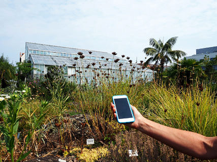 Handy vor botanischem Garten