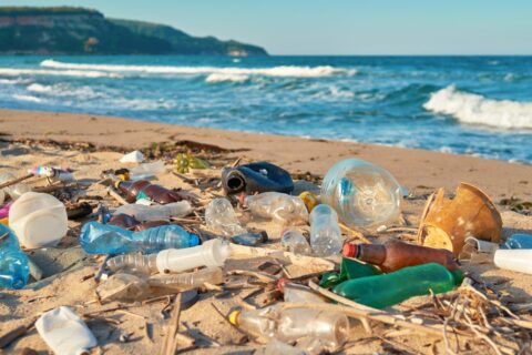 Zum Artikel "Bringen Sie Müll aus Ihrem Strandurlaub mit!"