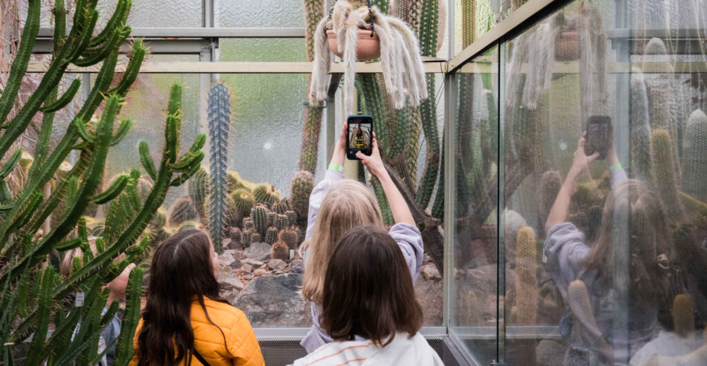 Drei Personen stehen mit dem Rücken zur Kamera. Sie stehen im Kakteenhaus des botanischen Gartens. Eine Person hält ein Handy in die Luft, um einen herunterhängenden Kaktus zu fotografieren.