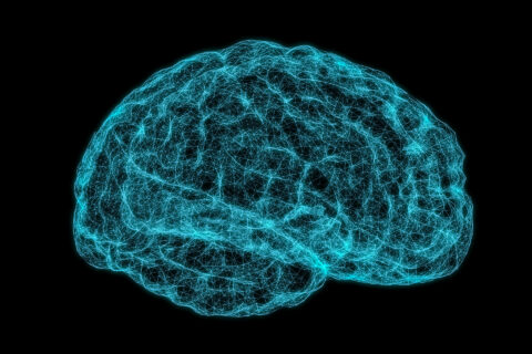 Grafische Darstellung eines Gehirns aus feinen violetten Linien.