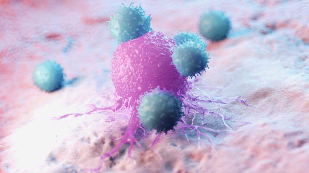 Gerendertes Bild von Leukozyten, die eine Krebszelle attackieren.