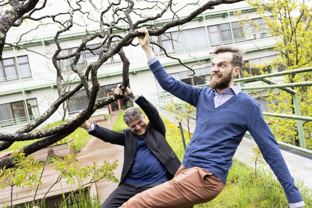 FAU Präsident Hornegger und FAU Professor Fuhrmann hängen Grimassen ziehend an einem Baum. 