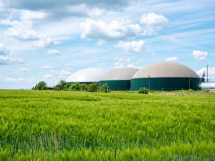 Abbildung einer Biogasanlage für eine Pressemitteilung zur Studie von FAU-Prof Jürgen Karl vom Lehrstuhl für Energieverfahrenstechnik, der die Rolle von Biogasanlagen im Rahmen unserer künftigen Energieversorgung untersucht hat.